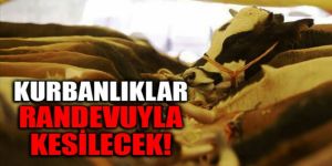 Erzurum'da kurbanlıklar koronavirüs tedbirleri kapsamında "randevu" ile kesilecek