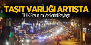 Erzurum taşıt varlığı artışta