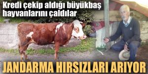 Erzurum'da Jandarma hayvan hırsızlarını arıyor
