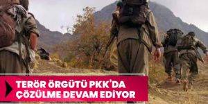 İçişleri Bakanlığı: 2 terörist güvenlik güçlerine teslim oldu