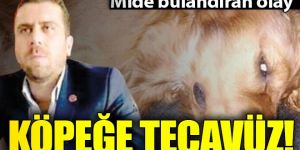 Volkan Uzun tutuklandı! Köpeğe istismarda bulunduğu iddiası...