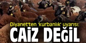 Diyanet’ten ‘kurbanlık’ uyarısı: Caiz değil
