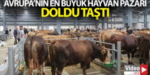 Avrupa'nın en büyük canlı hayvan pazarı doldu taştı