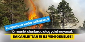 İçişleri Bakanlığı, 81 il valiliğine 'Ormanlık alanlarda ateş yakılmaması' konulu genelge gönderdi