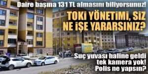 Palandöken TOKİ'de neler oluyor?