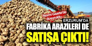 Türkşeker'in Erzurum'daki taşınmazını satıyor