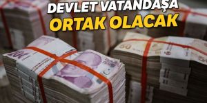 Devlet vatandaşla ortak iş kuracak
