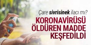 Sivrisinek ilacında koronavirüsü öldüren bir madde keşfedildi