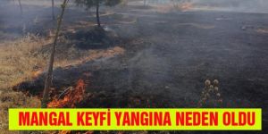 Erzurum'da mangal keyfi yangına neden oldu