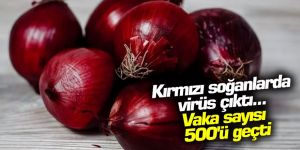 Kırmızı soğanlarda virüs çıktı... Vaka sayısı 500'ü geçti