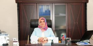Prof. Dr. Songül Duman iki makalesiyle "Advanced Functıonal Materıals" dergisinde