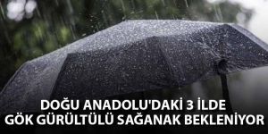 Doğu Anadolu'da 3 ilde gök gürültülü sağanak bekleniyor