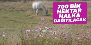 700 bin hektar halka dağıtılacak