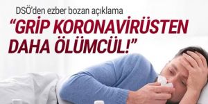 DSÖ: ''Mevsimsel grip, koronavirüsten daha ölümcül''
