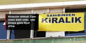 Kasımda kiralara en fazla yüzde 11,74 oranında zam yapılabilecek!