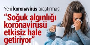 ''Soğuk algınlığı koronavirüsü etkisiz hale getiriyor''