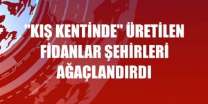 "Kış kentinde" üretilen fidanlar şehirleri ağaçlandırdı