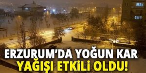 Erzurum'da sürücüler ve yayalar zor anlar yaşadı
