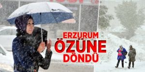 Kar yağışı etkili oluyor