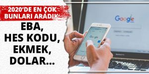 2020’de Google'da en çok bunları aradık: HES kodu, ekmek, dolar, EBA