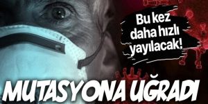 Koronavirüs yeniden mutasyona uğradı!