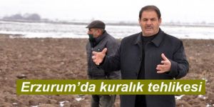 Erzurum’da kuralık tehlikesi