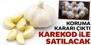 Taşköprü sarımsağı 'karekodla' satılacak