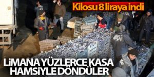 Limana yüzlerce kasa hamsiyle döndüler: Kilosu 8 liraya indi