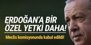 Cumhurbaşkanlığı'na bir yetki daha!