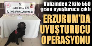 Erzurum'da uyuşturucu operasyonu