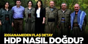 HDP örgütün projesidir
