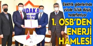 1.OSB’den enerji hamlesi