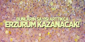 Bunların sayısı arttıkça Erzurum kazanacak!