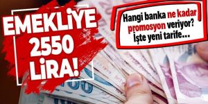 Promosyona 2021 tarifesi