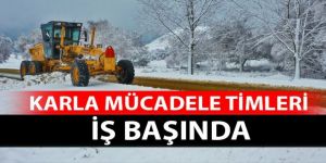 Karla mücadele timleri iş başında