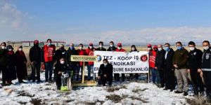 Tez-Koop-İş’ten, ETÜ’nün sokak hayvanlarına yönelik uygulamasına destek