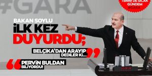 İçişleri Bakanı Soylu o detayı ilk kez açıkladı!