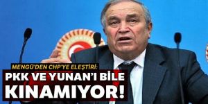 Şahin Mengü'den CHP'ye eleştiri: Ne PKK'yı kınıyor ne de Yunan'ı...