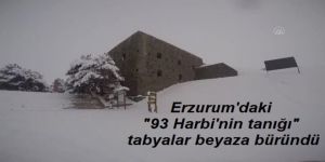 "93 Harbi'nin tanığı" tabyalar beyaza büründü