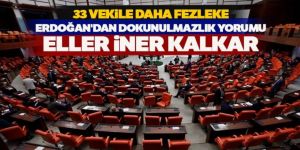 Erdoğan'dan dokunulmazlık yorumu: Eller iner kalkar