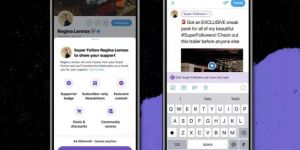 Twitter’a paralı yeni özellik geliyor.