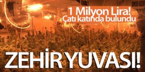 1 Milyon Liralık uyuşturucu serası bulundu