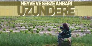 Meyve ve sebze ambarı Uzundere