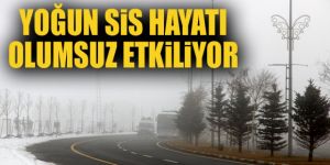 Erzurum ve Kars'ta kar yağışı ve sis etkisini sürdürüyor