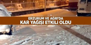 Erzurum ve Ağrı'da kar yağışı etkili oldu