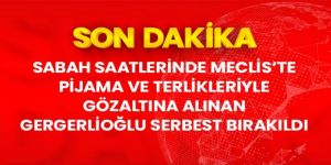 TBMM'de gözaltına alınan Gergerlioğlu serbest bırakıldı