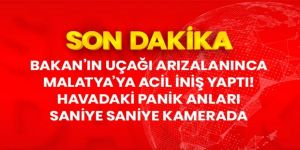 Tarım ve Orman Bakanı Pakdemirli'nin de bulunduğu uçak arıza nedeniyle acil iniş yaptı