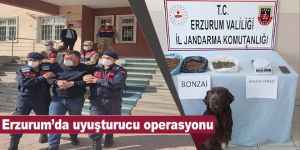 Erzurum’da uyuşturucu operasyonu