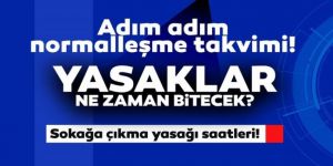 Tam kapanmadan sonra ne olacak? İşte normalleşme planı