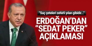 Erdoğan'dan ''Sedat Peker'' açıklaması